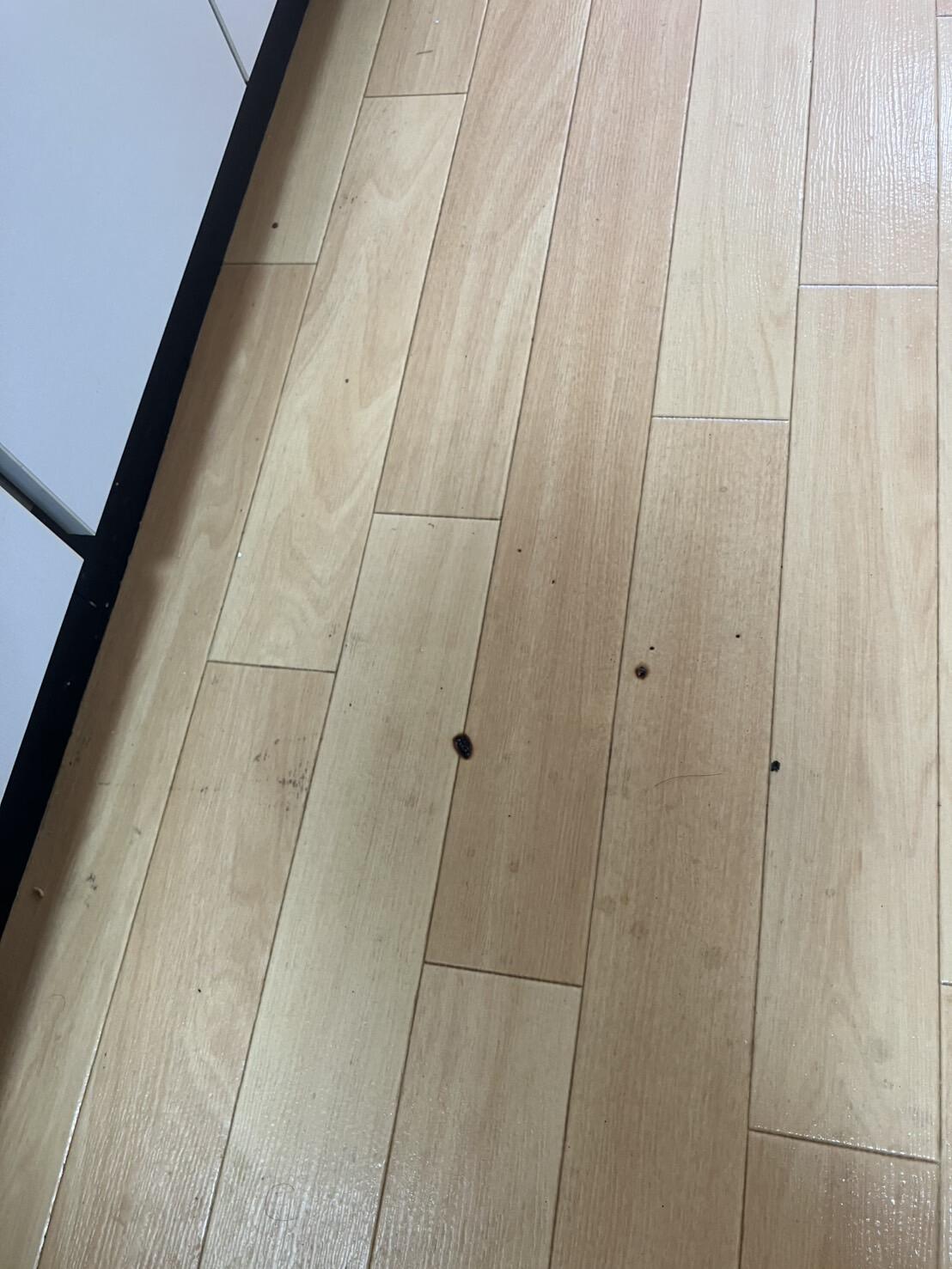 クッションフロア焦げ跡｜施工前