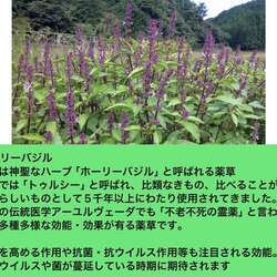 新しい香りの登場画像