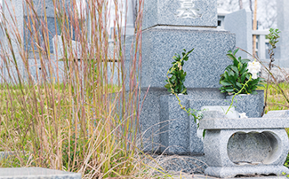 お墓の代行清掃