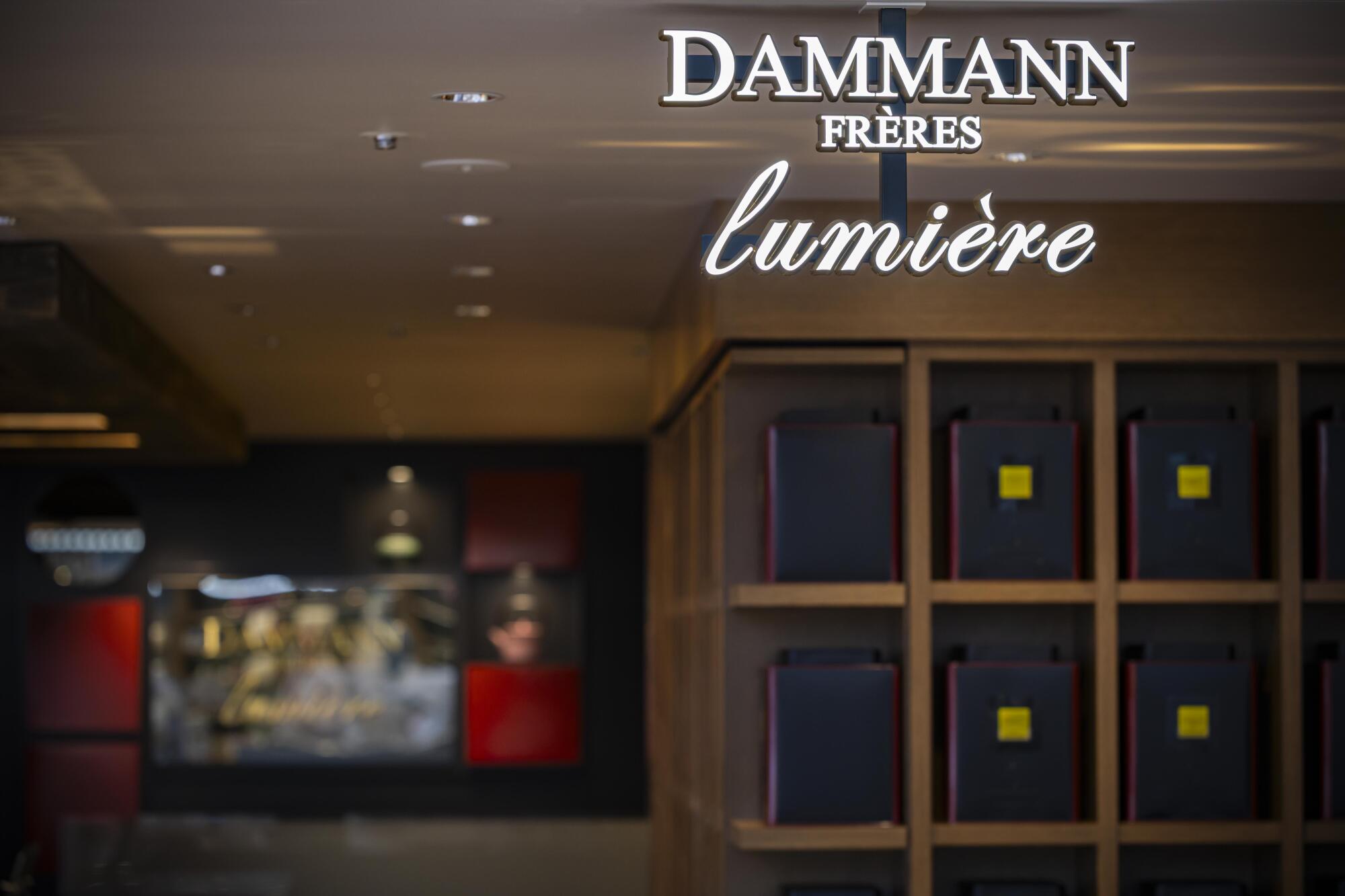 DAMMANN LUMIERE ASHIYA