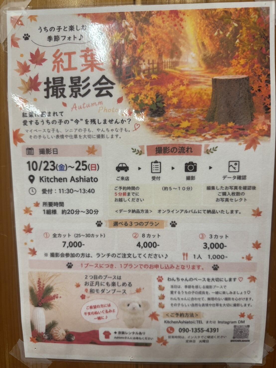 【お知らせ】秋の撮影会